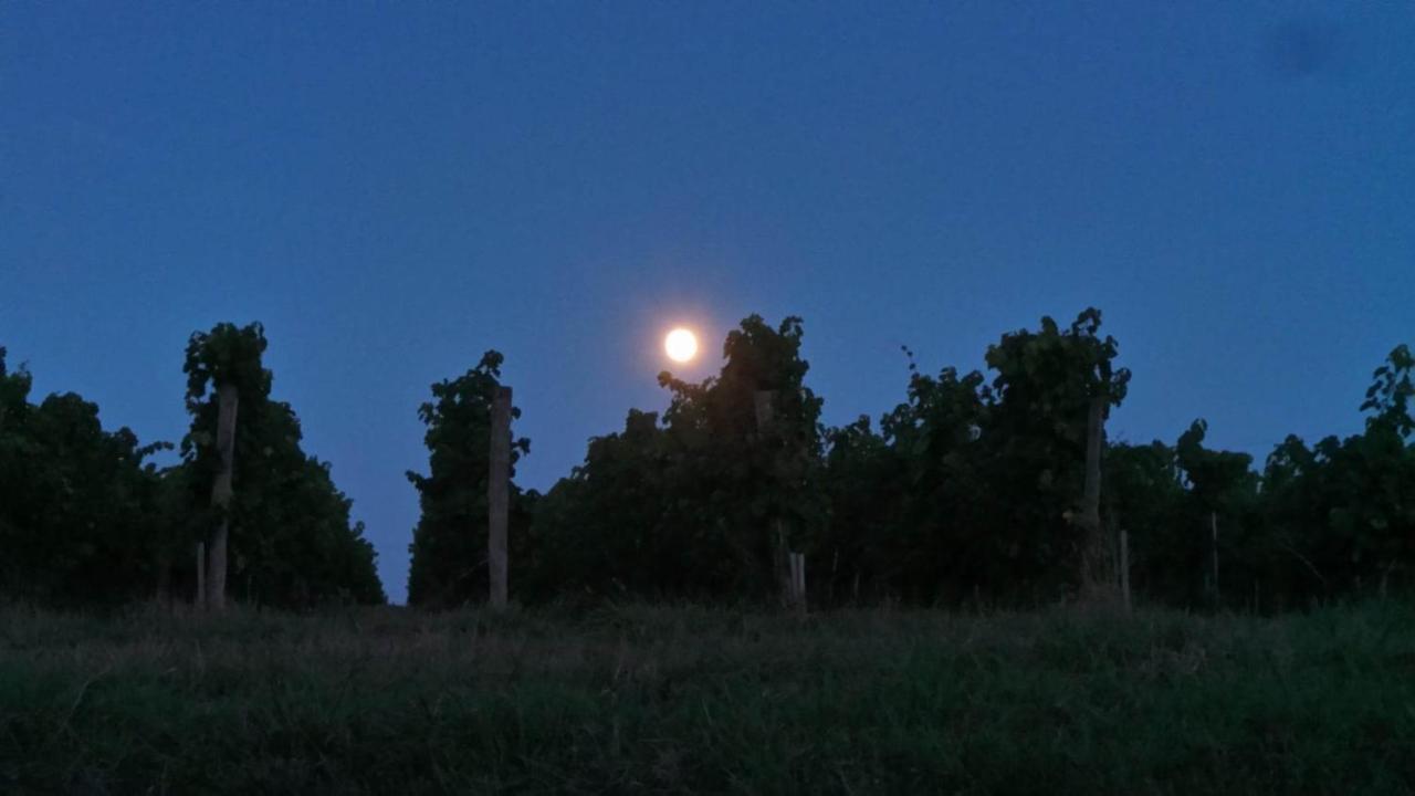 Dom Peyreton Prestige Cottages Set In A Charming Wine Property Villegouge エクステリア 写真