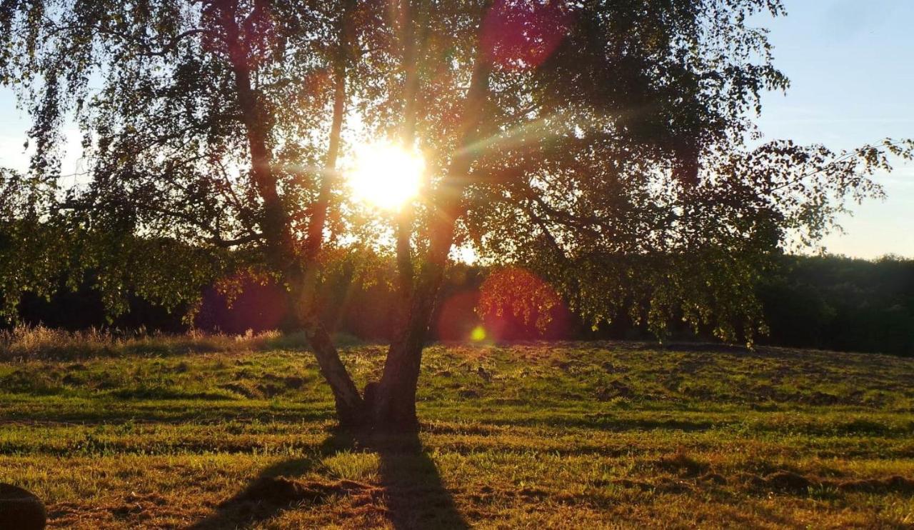 Dom Peyreton Prestige Cottages Set In A Charming Wine Property Villegouge エクステリア 写真
